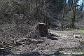 VBS_8826- Risvegli